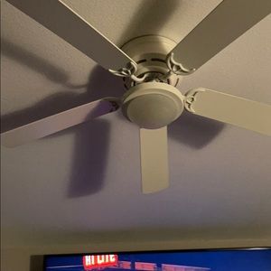 Meet your Posher, Ann julia